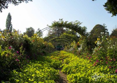 Die Gärten von Monet